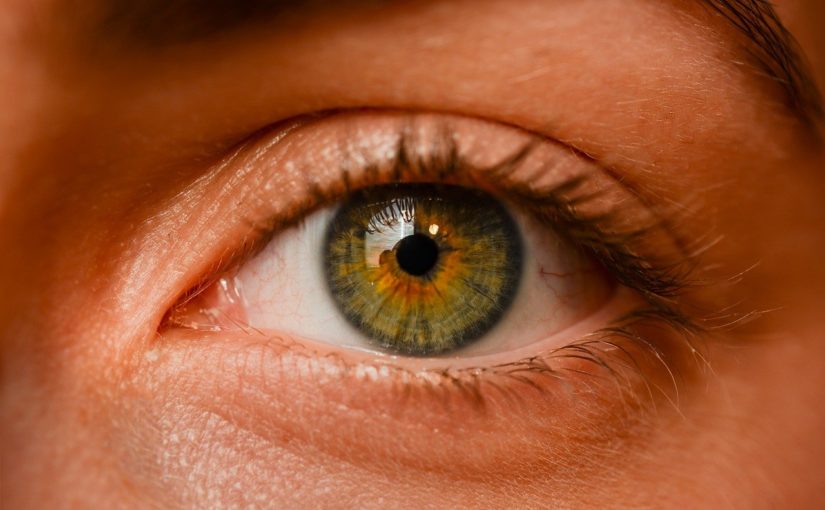 Oczy to niezwykły organ. To naturalnie dzięki nim widzimy.